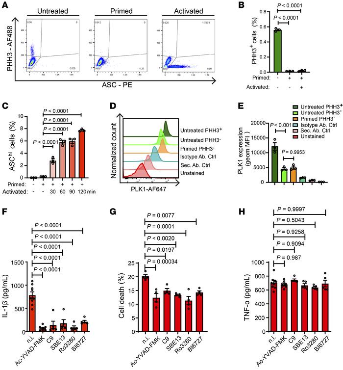 PLK1 inhibition