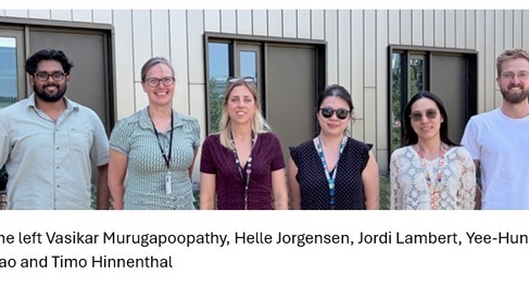 A image from the left Vasikar Murugapoopathy, Helle Jorgensen, Jordi Lambert, Yee-Hung Chan, Jing Zhao and Timo Hinnenthal 