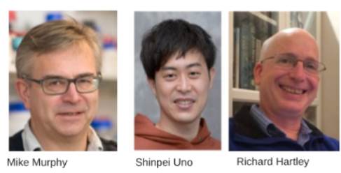 A image of Mike Murphy, Shinpei Uno and Richard Hartley 