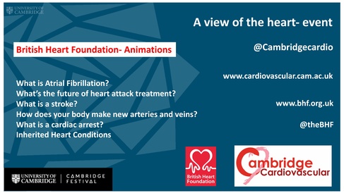 British Heart Foundation- Animations