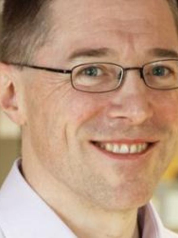 Professor David Spring