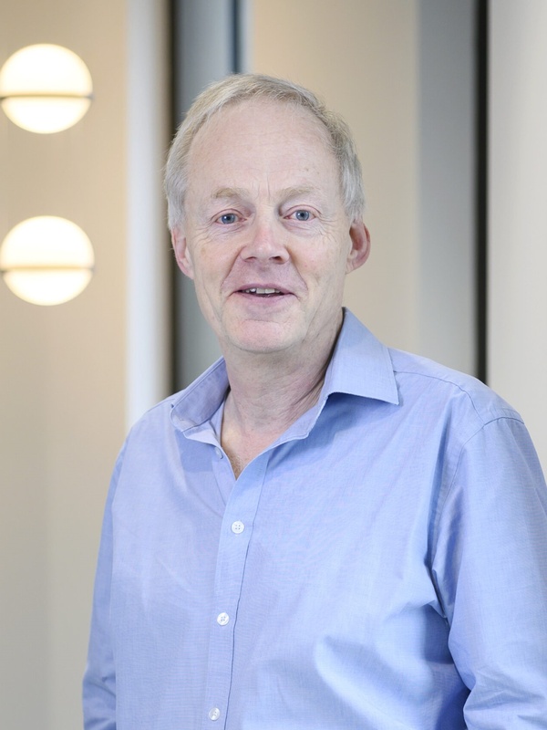 Professor Hugh Markus