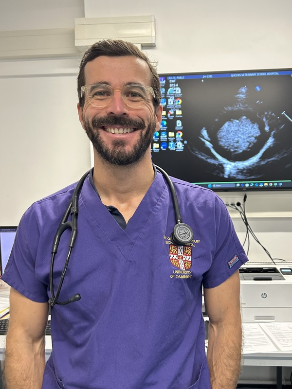 DVM MSc PhD DipECVIM-CA (Cardiology) AFHEA  Matos