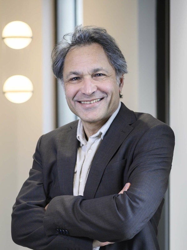 Professor Ziad Mallat