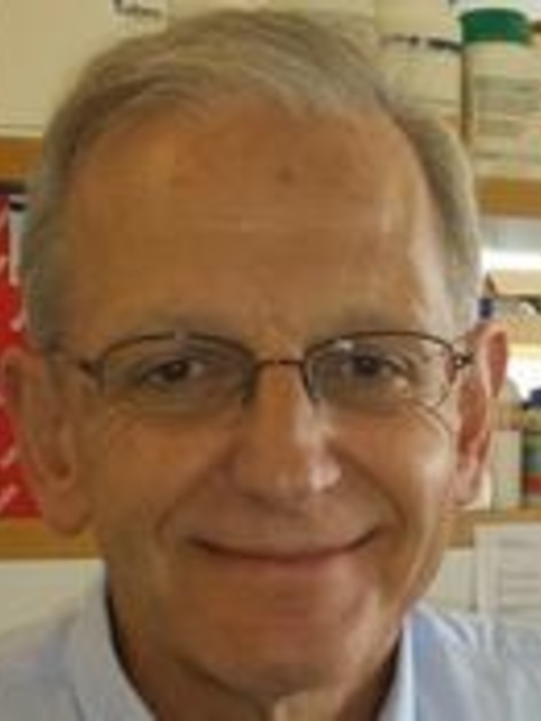 Professor Andrew Lever