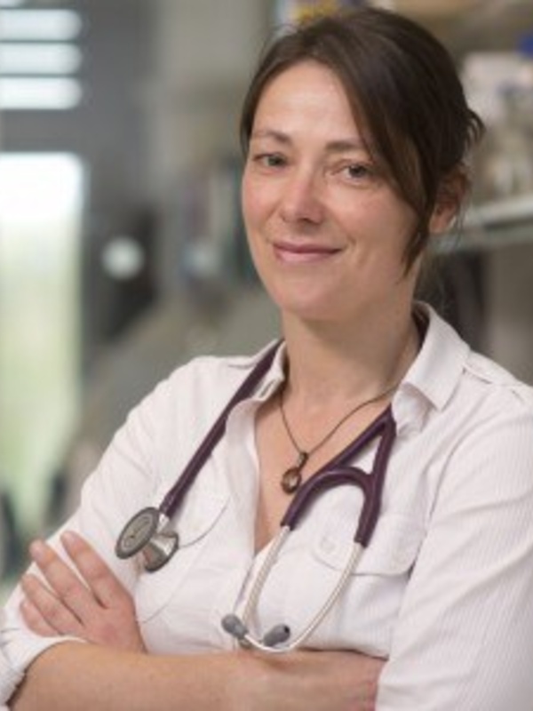 Professor Menna Clatworthy