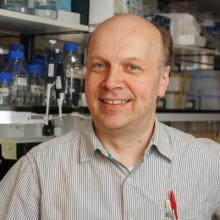 Professor Bertie Göttgens's picture